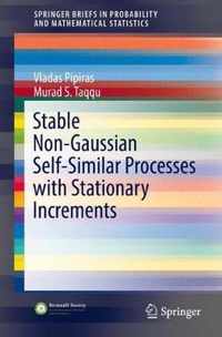 Stable Non Gaussian Self Similar Processes with Stationary Increments