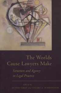 The Worlds Cause Lawyers Make