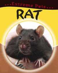 Rat