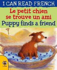 Le petit chien se trouve un ami / Puppy finds a friend