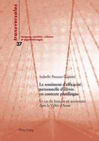 Le sentiment d'efficacité personnelle d'élèves en contexte plurilingue