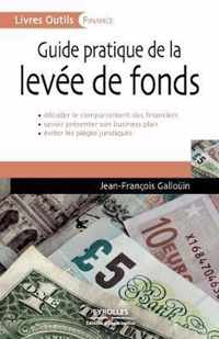 Guide pratique de la levée de fonds: Décoder le comportement des financiers. Savoir présenter son business plan. Eviter les pièges juridiques