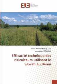 Efficacite technique des riziculteurs utilisant le Sawah au Benin