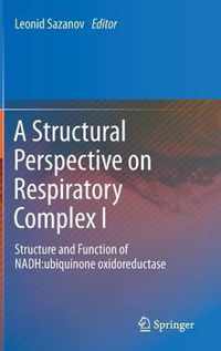 A Structural Perspective on Respiratory Complex I