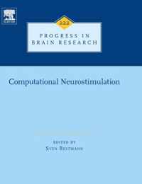 Computational Neurostimulation