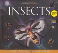 Insects