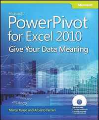 Microsoft Powerpivot For Excel 2010