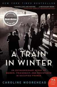 A Train in Winter