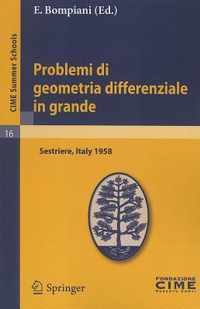 Problemi Di Geometria Differenziale in Grande