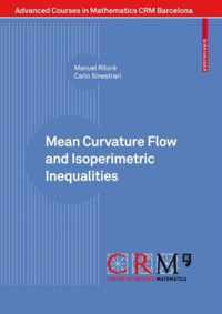 Mean Curvature Flow and Isoperimetric Inequalities