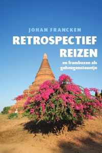 Retrospectief Reizen en frambozen als geheugensteuntje