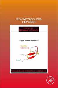 Iron Metabolism: Hepcidin