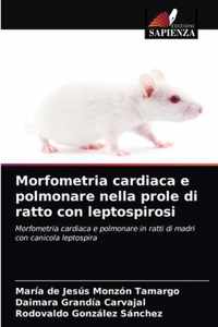 Morfometria cardiaca e polmonare nella prole di ratto con leptospirosi