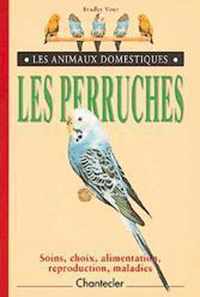 Les animaux domestiques 1. les perruches