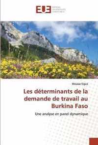 Les determinants de la demande de travail au Burkina Faso