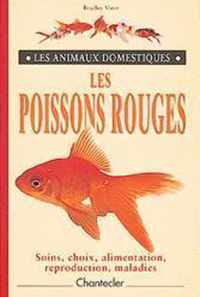 Les animaux domestiques 2. les poissons rouges