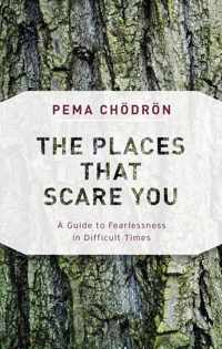 The Places That Scare You: A Guide to Fearlessness in Difficult Times