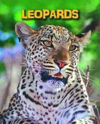 Leopards