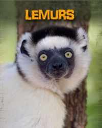 Lemurs