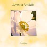 Leven in het Licht - Anandajay - Paperback (9789464186468)