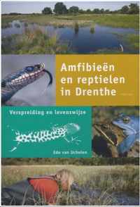 Amfibieen En Reptielen In Drenthe