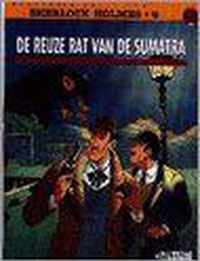 De reuze rat van de sumatra