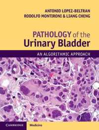 Pathology of the Urinary Bladder