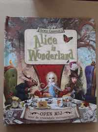 Alice in Wonderland