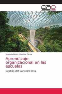 Aprendizaje organizacional en las escuelas