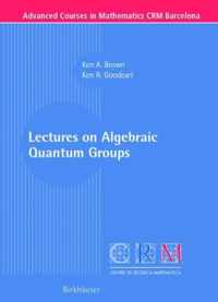 Lectures on Algebraic Quantum Groups