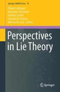 Perspectives in Lie Theory