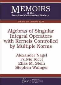 Algebras of Singular Integral Operators with Kernels Controlled by Multiple Norms