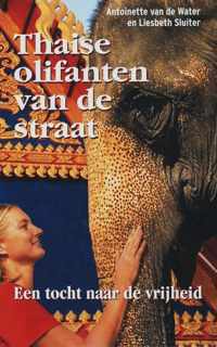 Thaise Olifanten Van De Straat