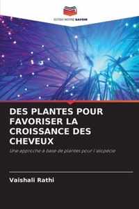 Des Plantes Pour Favoriser La Croissance Des Cheveux