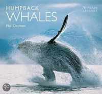 Humpback Whales