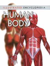 Human Body