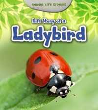 Life Story of a Ladybird