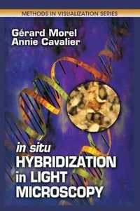 In Situ Hybridization in Light Microscopy