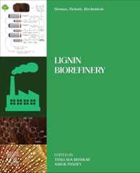 Biomass, Biofuels, Biochemicals