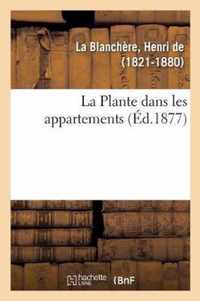 La Plante dans les appartements