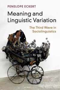 Meaning and Linguistic Variation