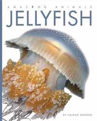 Jellyfish