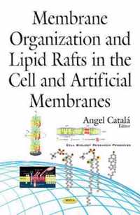 Membrane Organization & Lipid Rafts in the Cell & Artificial Membranes