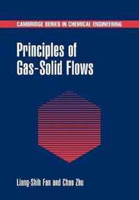 Principles of Gas-Solid Flows