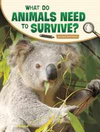 What Do Animals Need to Survive?