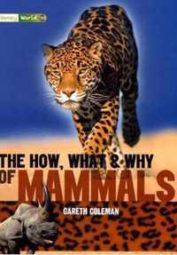 Literacy World Satellites Non Fic Stage 3 The How, What and Why of Mammals