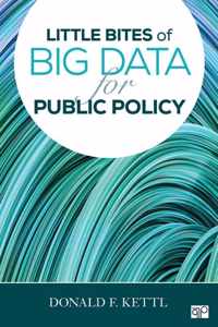 Little Bites of Big Data for Public Policy