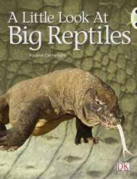 Bug Club Guided Non Fiction Year 1 Blue B A Little Look at Big Reptiles