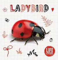 Ladybird