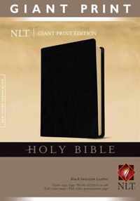 NLT Holy Bible, Giant Print, Black